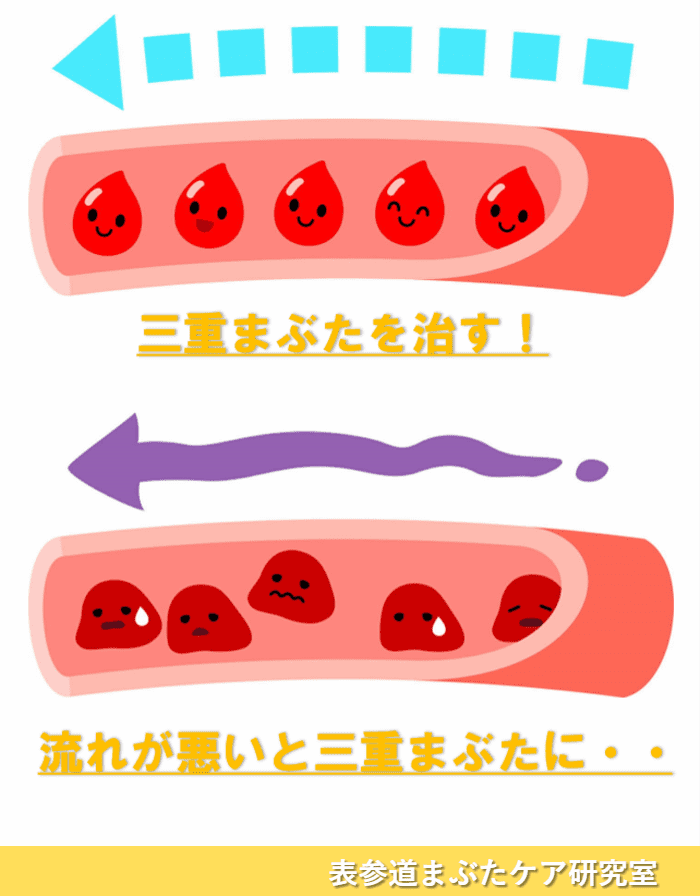 三重まぶた 血行 リンパ